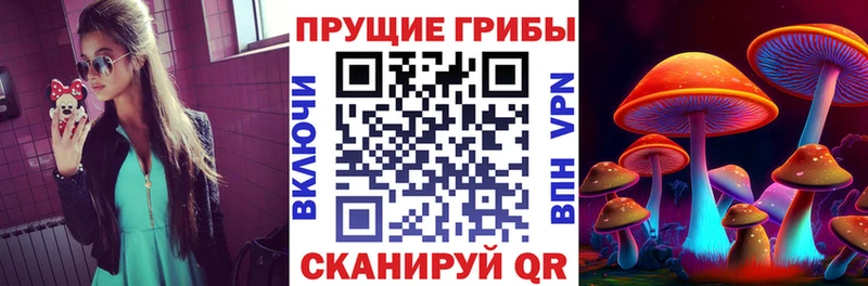 Псилоцибиновые грибы Magic Shrooms  Купить где  Екатеринбург 